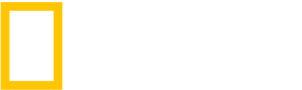 내셔널 지오그래픽 로고