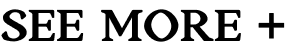 Toggle Open Button