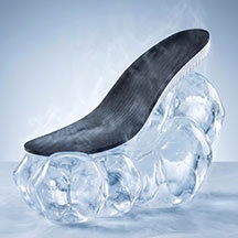 신발 인솔